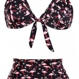 4101X Waterfowl Print  Retro High Waist Swimset